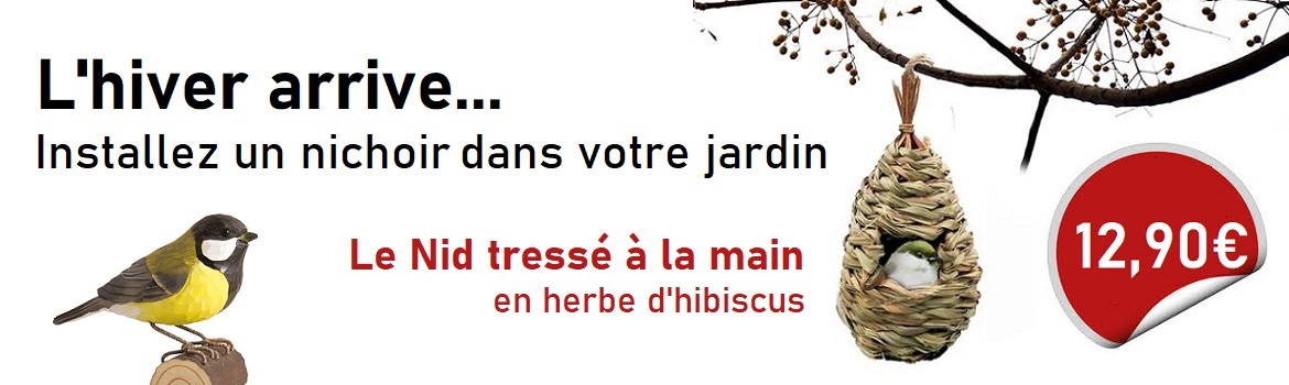 3635142nid hibiscus1